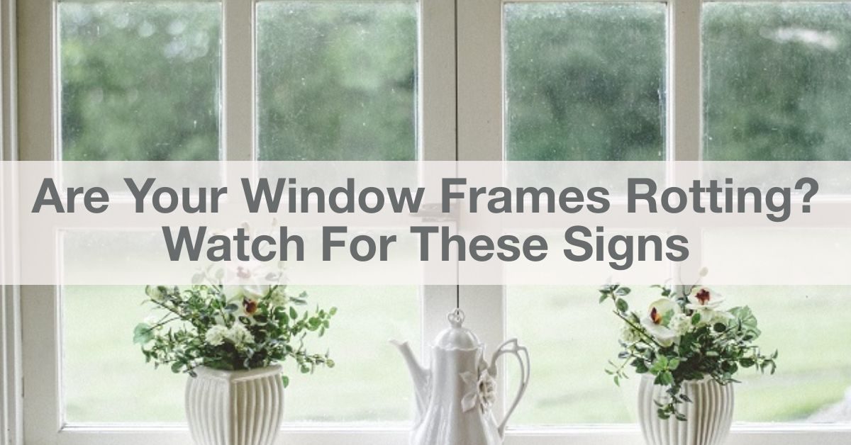 signs that your windows are rotting